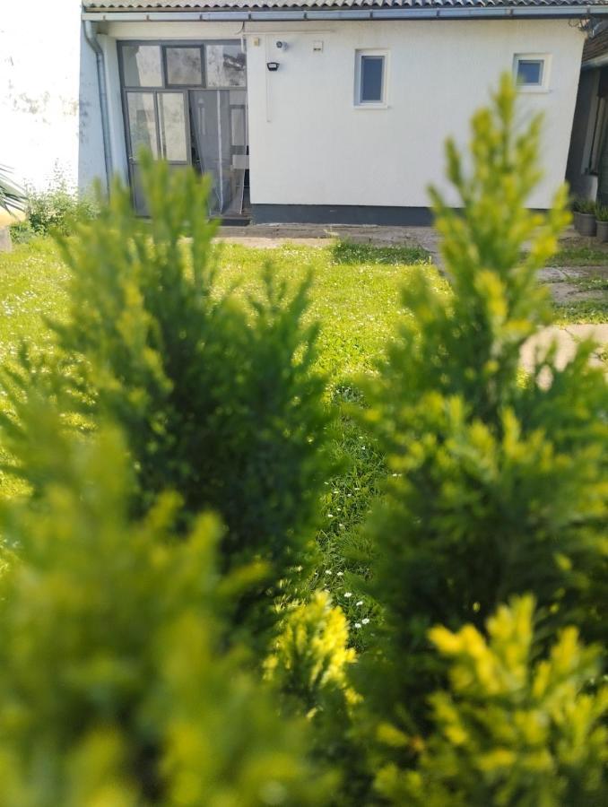Marija Apartman Ösek Dış mekan fotoğraf