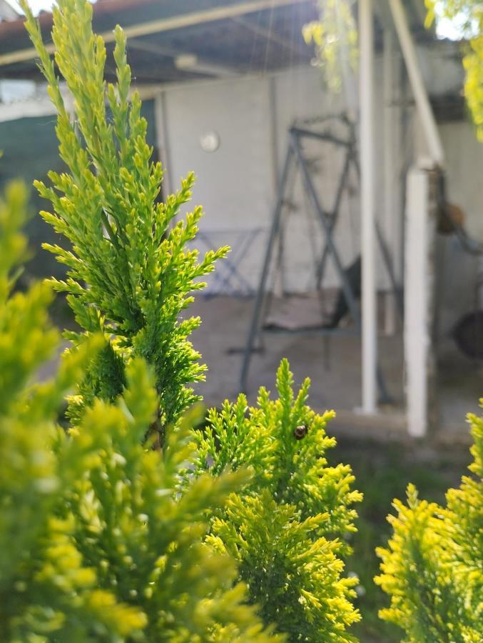 Marija Apartman Ösek Dış mekan fotoğraf