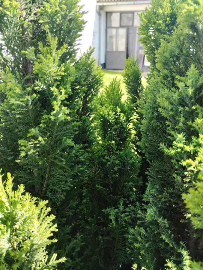 Marija Apartman Ösek Dış mekan fotoğraf